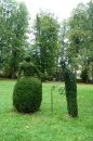 Fotografia: Na prechádzke v parku, fotograf: Lýdia Šimková, tagy: park, Turčianske Teplice, prechádzka