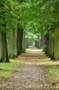 Fotografia: Odchádza leto, fotograf: Lýdia Šimková, tagy: koniec leta, opadáva lístie, park, Turčianske Teplice