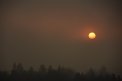 Fotografia: Chladné ráno, fotograf: Nikola Cenknerová, tagy: #sunrise, #mood, #morningmist, #nature