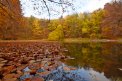 Fotografia: Čarovná jeseň na Malom Morskom Oku, fotograf: Nikola Cenknerová, tagy: #autumn, #jeseň, #leaves, #lake