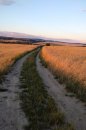 Fotografia: Cesta do neznáma., fotograf: Lukáš Polák, tagy: #priroda #photo #cesta